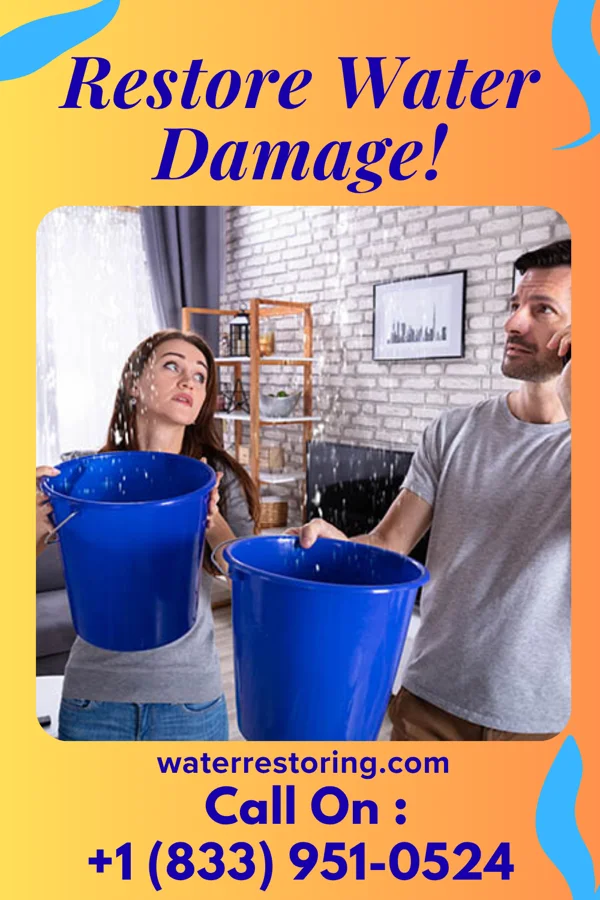 water restoration Zenith Disaster Recovery Specialists Amboy