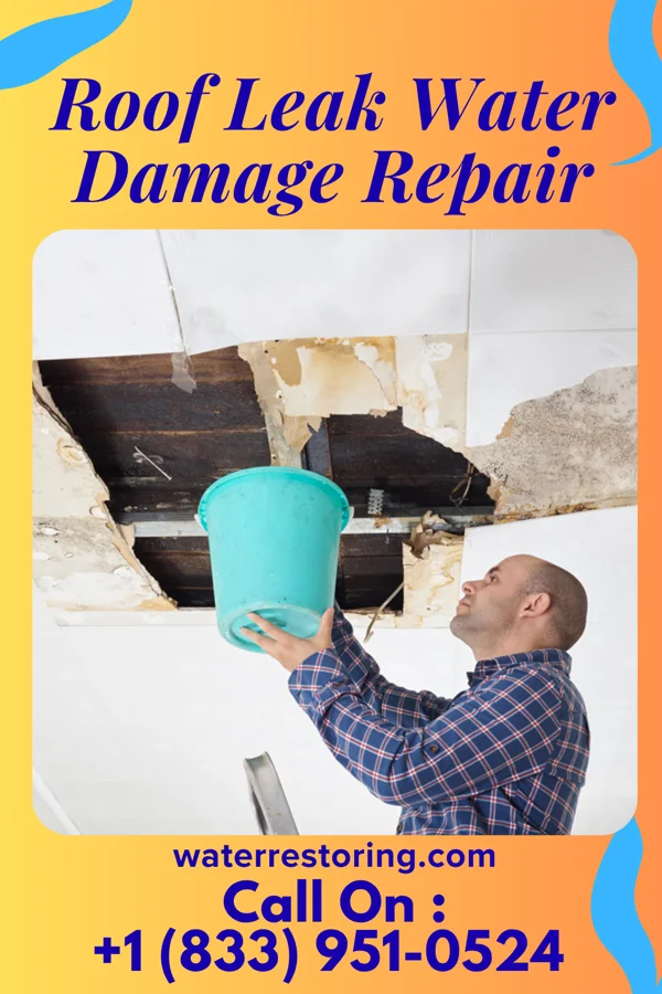 Roof Leak Water Damage Repair in Amboy, IL