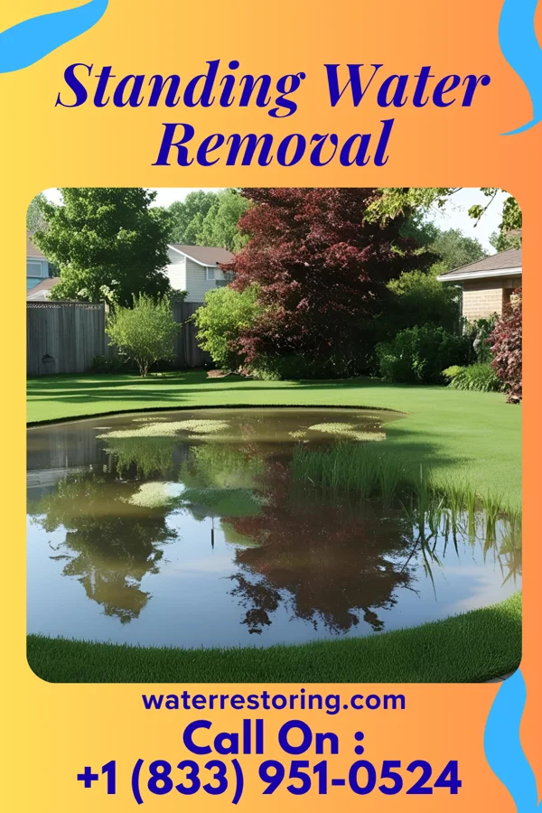 Standing Water Removal in Amboy, IL